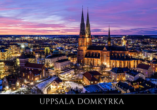 Cathedral by night