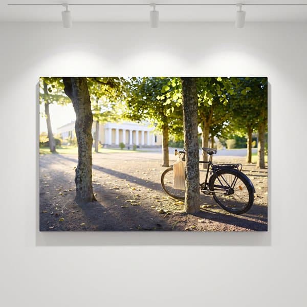 Cykel i Botaniska trädgården - Canvas Art - 1